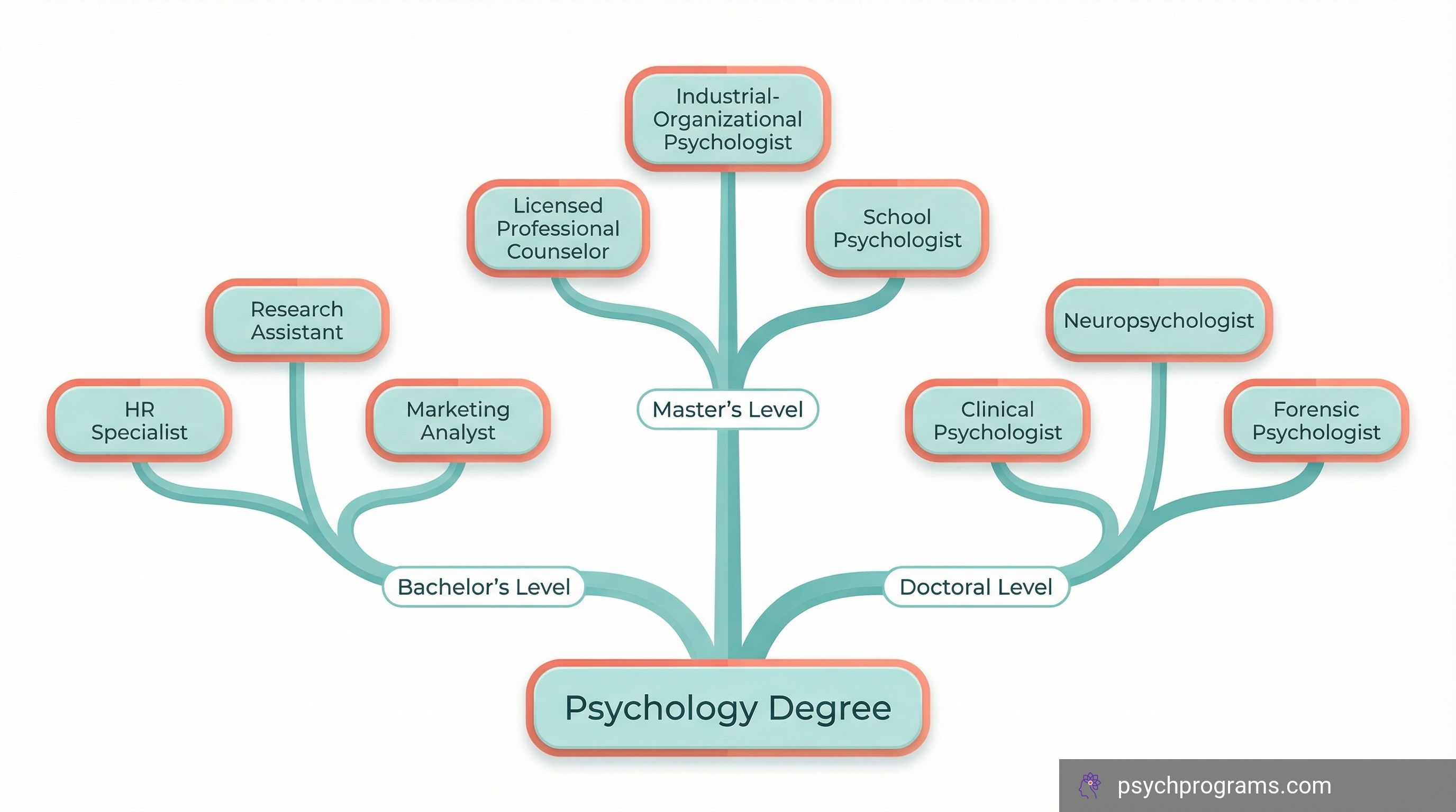 Psychology degree career path tree showing bachelor's, master's, and doctoral level career options branching from a central psychology degree